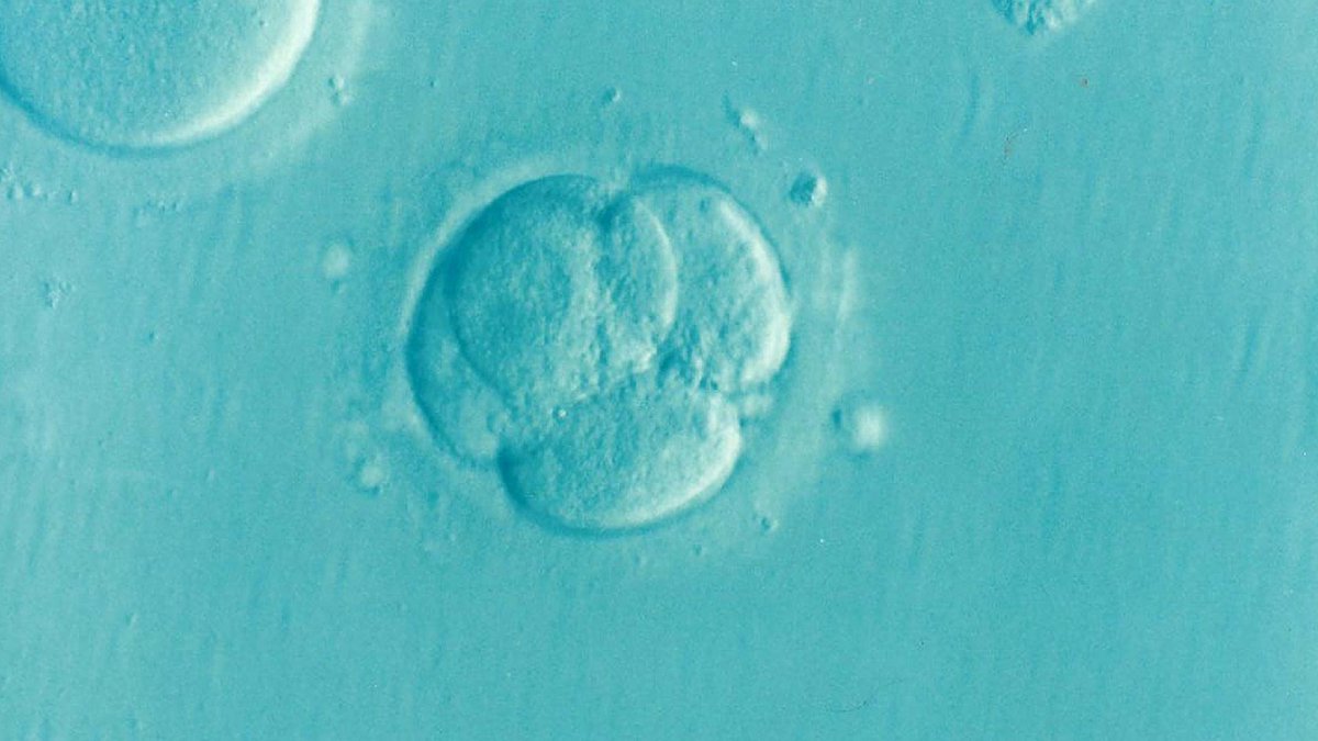 letsgetvocal's tweet photo. There is still time to give us your thoughts on pregnancy care after having IVF/ICSI to help inform researchers @MFH_Research on a new research project: https://t.co/nsz5MIt2C2

Please RT! @stmarysivf @MFT_Research @FertilityNUK @ProfJoyceHarper @FNScotlandUK https://t.co/tFcdAkZ11b