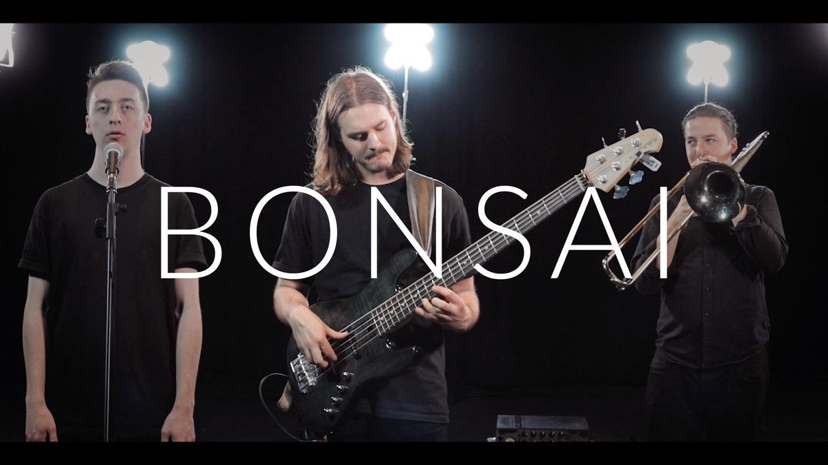 Bonsai tweet media