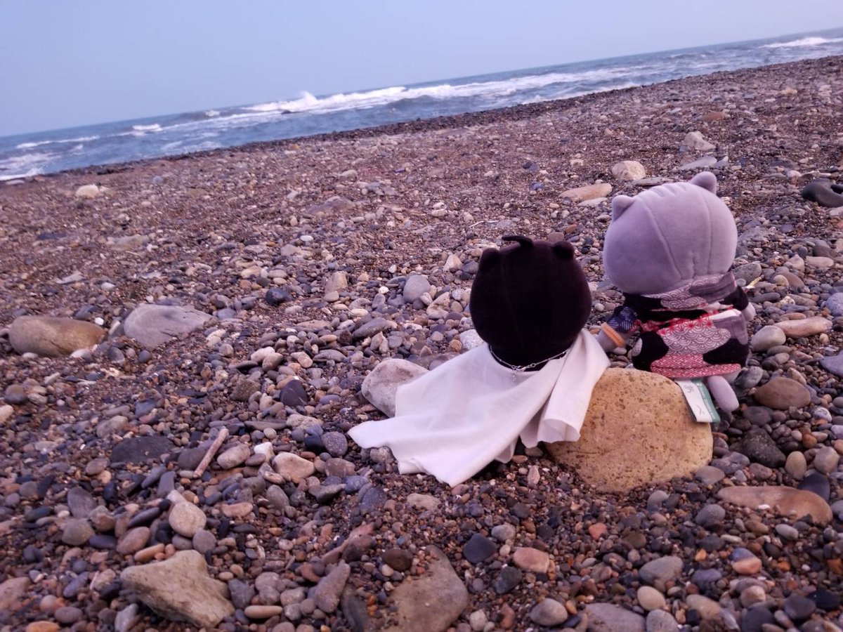 maa_owo's tweet photo. 〜さすらいのごんた🌊〜

「海はオトコのロマンだぜ……」

#あさりとごんたの夏休み
#おかえり園田くん
#おかえり園田くん2019 https://t.co/hoPdbPS8R4
