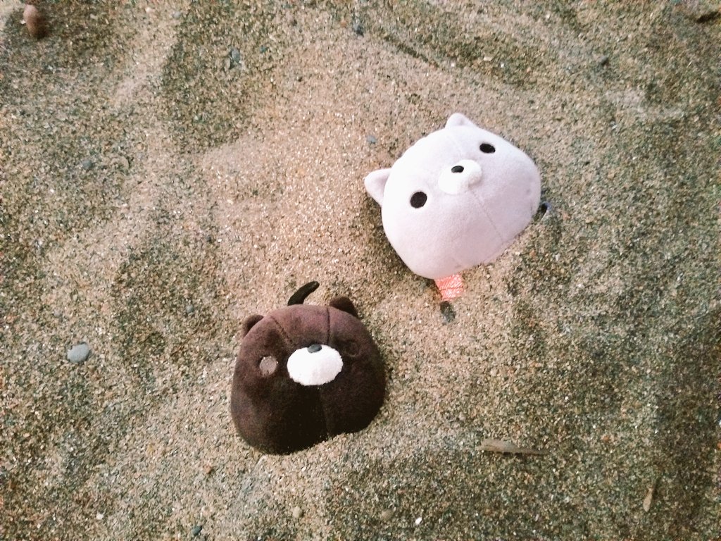 maa_owo's tweet photo. 〜さすらいのごんた🌊〜

「海はオトコのロマンだぜ……」

#あさりとごんたの夏休み
#おかえり園田くん
#おかえり園田くん2019 https://t.co/hoPdbPS8R4