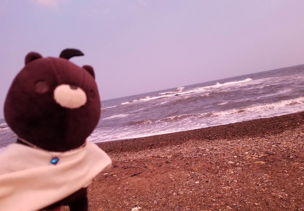 maa_owo's tweet photo. 〜さすらいのごんた🌊〜

「海はオトコのロマンだぜ……」

#あさりとごんたの夏休み
#おかえり園田くん
#おかえり園田くん2019 https://t.co/hoPdbPS8R4
