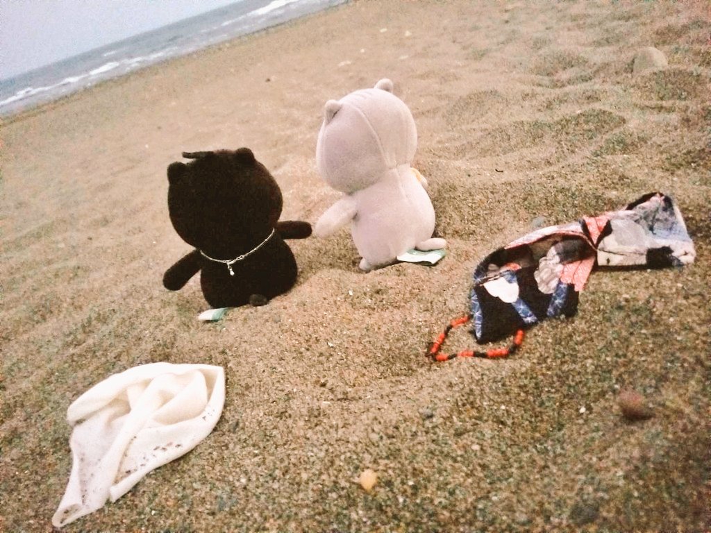 maa_owo's tweet photo. 〜さすらいのごんた🌊〜

「海はオトコのロマンだぜ……」

#あさりとごんたの夏休み
#おかえり園田くん
#おかえり園田くん2019 https://t.co/hoPdbPS8R4