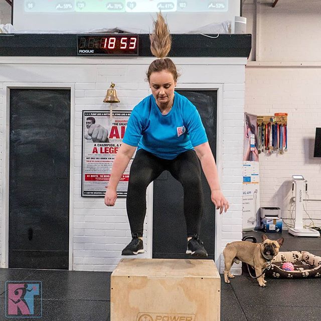 Reactive Training Gym tweet media
