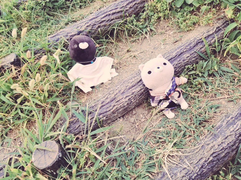 maa_owo's tweet photo. 〜稲荷神社からの大洗🌊〜

「う〜み〜は〜ひろい〜な〜！！
　はやくいこ〜！」

#あさりとごんたの夏休み
#おかえり園田くん
#おかえり園田くん2019 https://t.co/gZWnQ3GKco