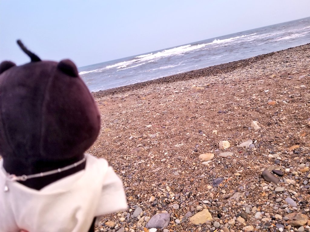 maa_owo's tweet photo. 〜稲荷神社からの大洗🌊〜

「う〜み〜は〜ひろい〜な〜！！
　はやくいこ〜！」

#あさりとごんたの夏休み
#おかえり園田くん
#おかえり園田くん2019 https://t.co/gZWnQ3GKco