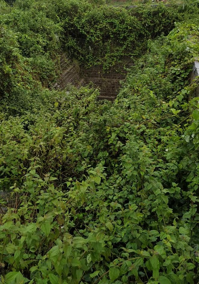 wandercloudd's tweet image. ಶ್ರೀರಂಗಪಟ್ಟಣದ ಜಕ್ಕನಹಳ್ಳಿಯಲ್ಲಿ  ಪಾಳುಬಿದ್ದೀದ್ದ ಕಲ್ಯಾಣಿಯನ್ನು ಮೈಸೂರಿನ ಶೇಷಾದ್ರಿಪುರಂ ಪದವಿ ಕಾಲೇಜಿನ #NSS ವಿದ್ಯಾರ್ಥಿಗಳು ತಮ್ಮ ಶ್ರಮದಾನದ ಮೂಲಕ  ಯಾರಿಗೂ ಬೇಡವಾಗಿದ್ದ  ಕಲ್ಯಾಣಿಯನ್ನು ಸ್ವಚ್ಛಗೊಳಿಸಿ ಸುಂದರಗೋಳಿಸಿ ಗ್ರಾಮಸ್ಥರ ಮೆಚ್ಚುಗೆಗೆ ಪಾತ್ರರಾಗಿದ್ದಾರೆ

@CMofKarnataka @sumalathaA @mepratap @gssjodhpur