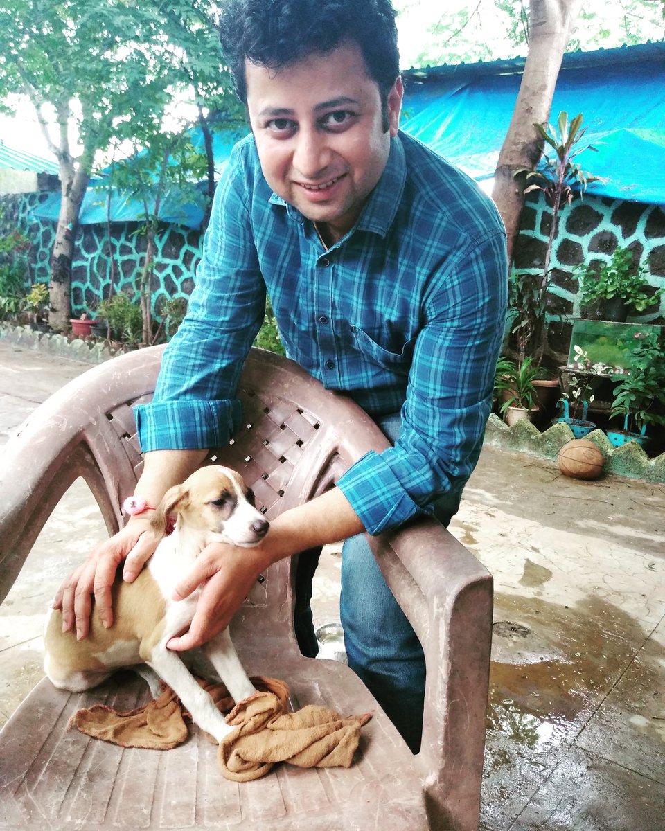 Apna Home Animal Shelter Apnaanimal Twitter