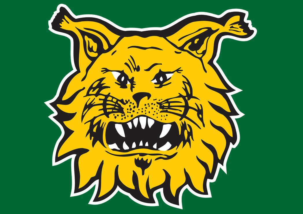 Kiakkoradio's tweet photo. Tasan kuudelta alkaa FUN Tampereen futis-lähetys, kun @IlvesEdustus kohtaa @KuPS1923 Tammelan viheriöllä. Ennen ottelua puolituntinen pohjustus ja itse ottelu alkaa 18.30, jonka selostaa @jiisaazi47. #FUNfutis #Ilves @Veikkausliiga https://t.co/SNT4Ai1zVR