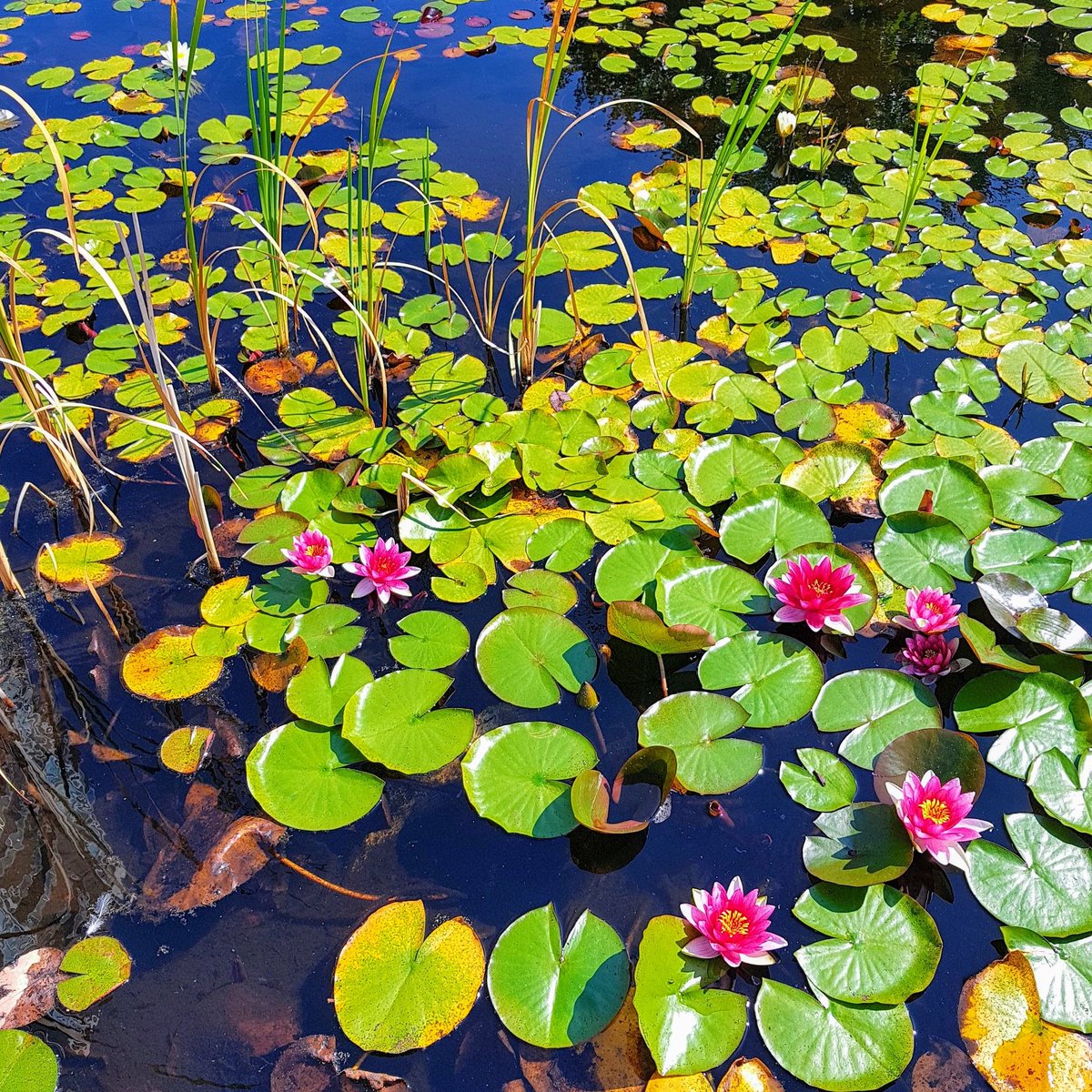 Moving_Edmonton's tweet image. Like ProPics Canada on Facebook facebook.com/ProPics-Canada…   #facebook #photography #socialmedia #canadatourism #explorebc #tourismcanada