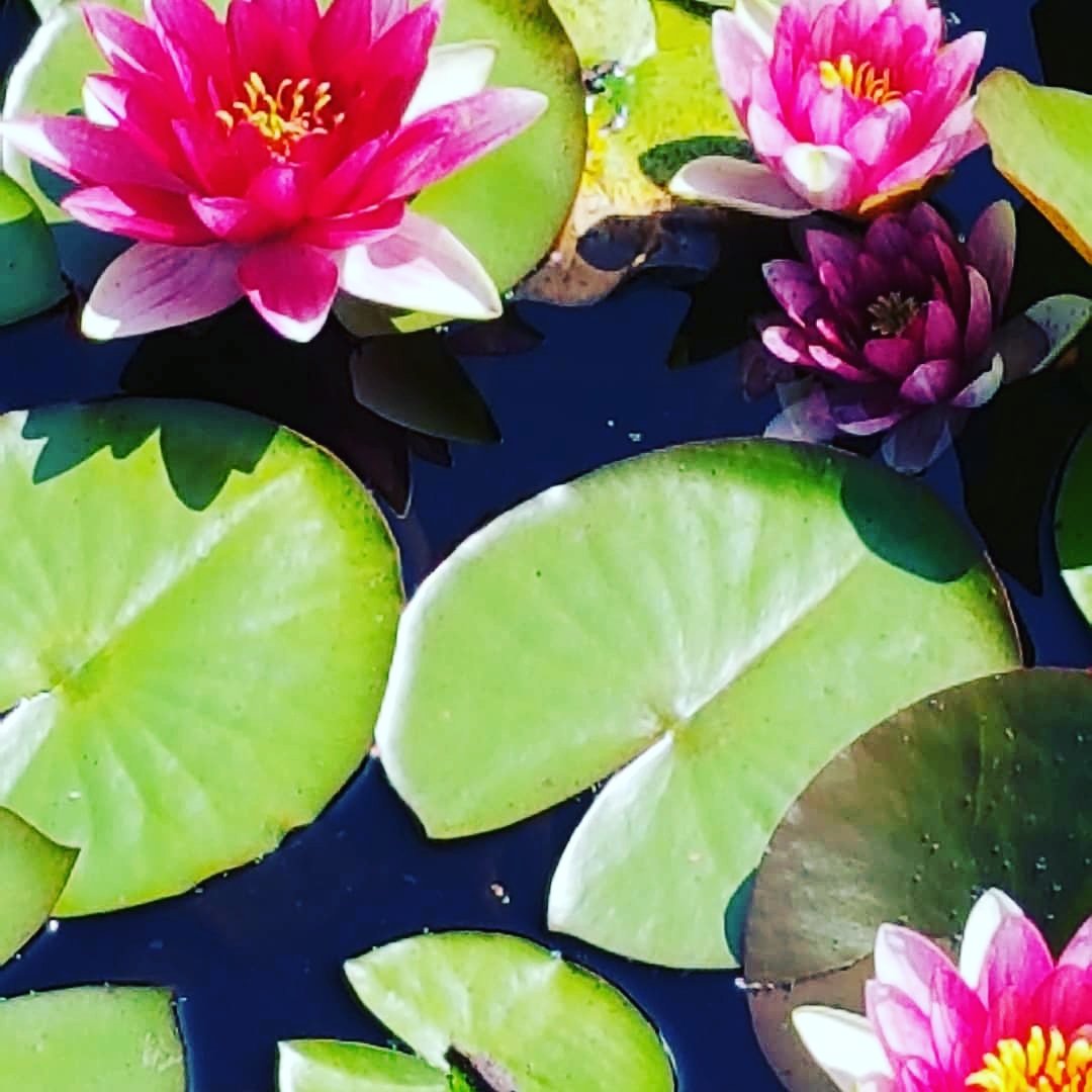 Moving_Edmonton's tweet image. Like ProPics Canada on Facebook facebook.com/ProPics-Canada…   #facebook #photography #socialmedia #canadatourism #explorebc #tourismcanada