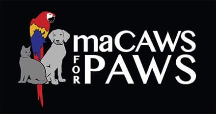 lakesareaPH's tweet photo. Join us today at Central Market in @DetroitLakesMN to get your maCAWS for PAWS raffle tickets &amp; your #BoatsBars14 tickets, 10-2. #LAPHC #Parrotheads #marshmallowfoundation https://t.co/4bEYrT7O1t