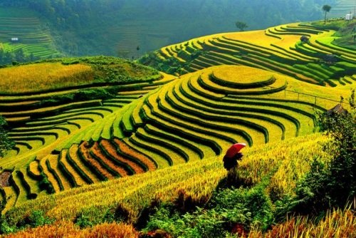 YVRdeals's tweet photo. YVR Deals:  Vancouver to Ho Chi Minh City, Vietnam - $499 CAD roundtrip including taxes   https://t.co/Zj3OZ2GT60 https://t.co/YlhcEArtCn