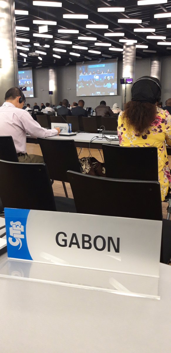 FPambo's tweet photo. #CITES #SC71 Gabon est présent à la 71eme session du Comité Permanent
Demain coup d'envoi de la #CITESCoP18 https://t.co/ay35jpsjqY