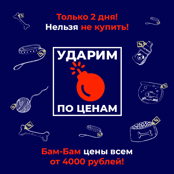 Юнизоо tweet media