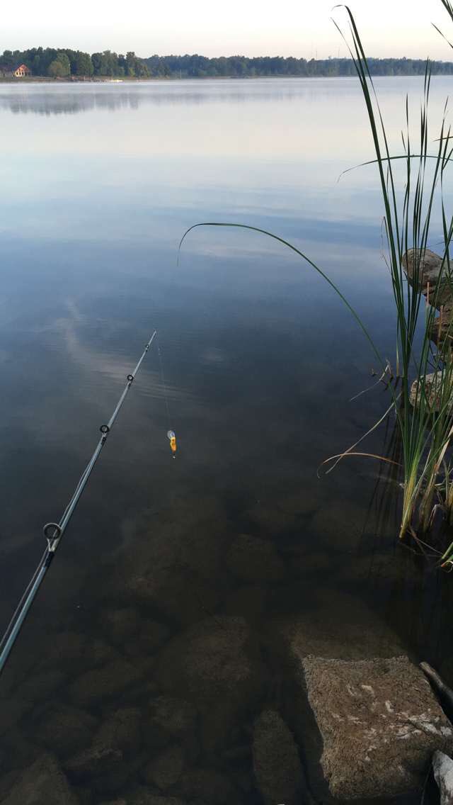 AndyWadeKY's tweet photo. #Fishing @BluegrassScenes #FreemanLake https://t.co/0BGbh4MXJz