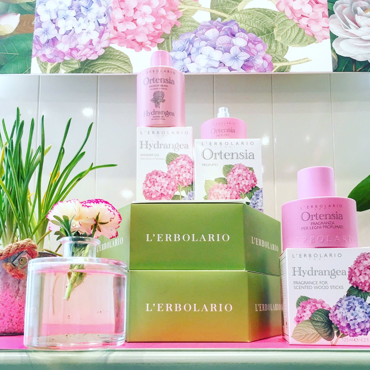 erbolariolondon's tweet photo. Discover the sweet and delicate Hydrangea line! 🌸 Visit us at 106A Upper Street London N1 1QN https://t.co/bCB0xO2fXN #vegan #crueltyfree #parabenfree #erbolario #onlineshopping #ethicalfashion #italiancosmetics #skincare #plantbased #slsfree #madeinitaly https://t.co/IcwyzIEMrz