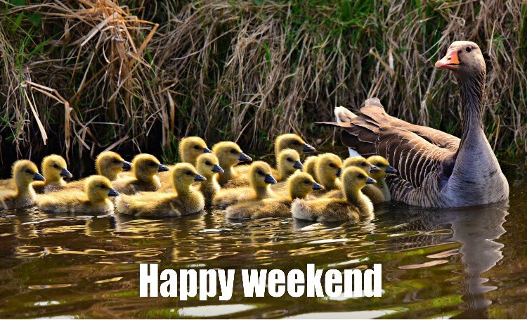 SNWshop's tweet photo. Happy weekend 🐣https://t.co/CSiJ1eSMlL #weekend #kado #cadeau #beautiful #insta #geschenk #geschenke #geschenkpaket #geschenkpakketten #babyshower #babyshowergift #cute #babyshowercadeau #gifts #presents #babygiftbox #babygift #babygiftideas #chocolatepackage #beautygeschenkset https://t.co/d6ZjPz4dWr