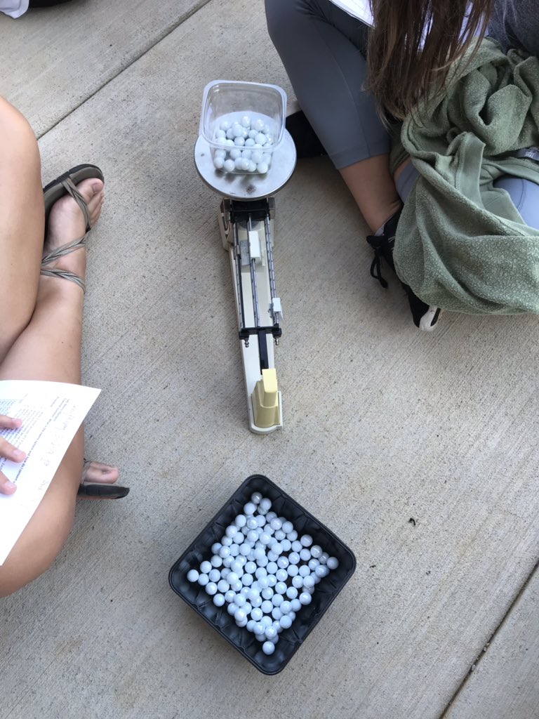 dentons4's tweet image. Metric Olympics! Learning to convert and compete! Paperplate discus, Straw javelins, cotton ball shot put and Right hand Marble grab! Measuring and converting units! #mathmatical&amp;amp;computationalthinking #ScienceandEngineeringPractice