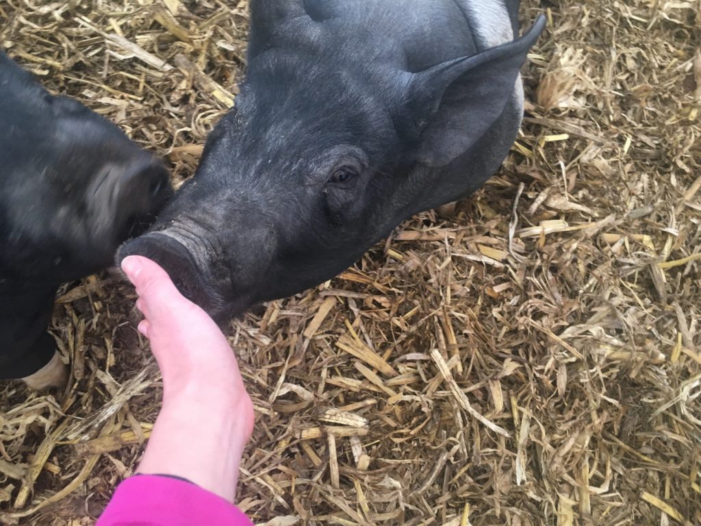 Emily Zweber tweet media