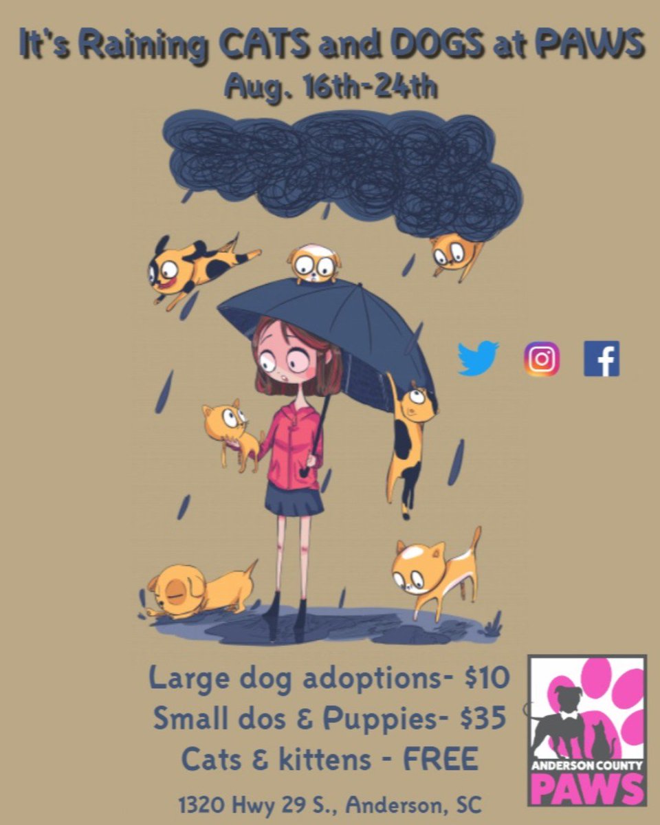 ACAS_PAWS's tweet photo. IT IS RAINING CATS AND DOGS.. COME ADOPT! Large dogs are $10 | Sm. Dogs and Pups are $35 | Cats and Kittens are free! #AdoptAtPAWS #ItIsRainingCatsAndDogs #Help #HelpUsSaveThem #Cats #Dogs #AmwesomeAnimalsNeedYOU https://t.co/8BpMMeaHK0