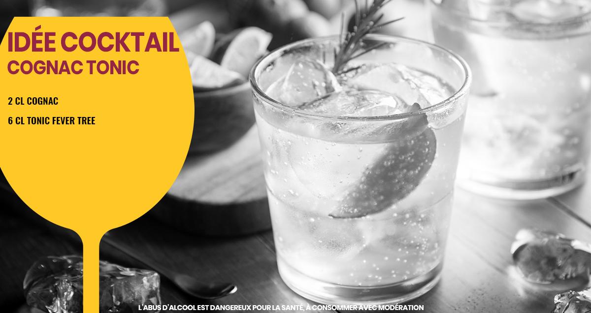 Avez-vous déjà testé le Cognac tonic ? Un cocktail étonnant mais très simple à réaliser ! 🍹T
Et pour réaliser ce Cocktail, on vous donne les ingrédients par ici :
le cognac 👉 
Le Tonic 👉