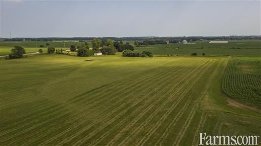 79 acre cash #crop farm is available in Belmont, #Ontario! 67 acres are workable (clay loam soil) with 12 acres of forest. http://www.farms.com/farm-real-estate/farms-for-sale/ontario/79-acre-cash-crop-middlesex-county-for-sale-belmont-ontario-1358.aspx … #OntAg #FarmRealEstate #ForSale #Agriculture #RealEstate #Farm365 #OntarioRealEstate