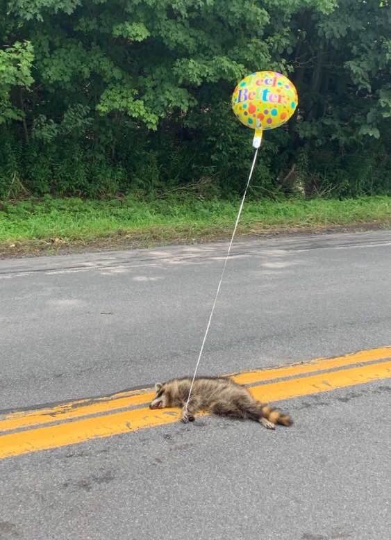 Jimmy King tweet media