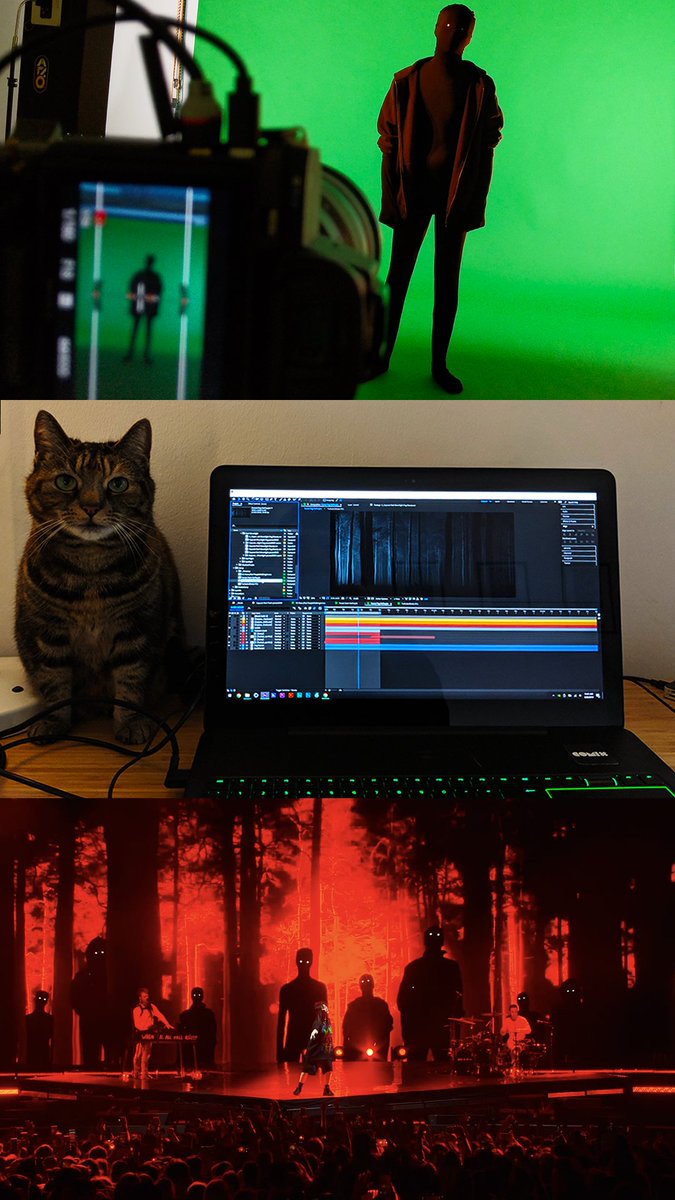 thisiscomix's tweet photo. Pixel, our creative Director's Cat, inspired Tom with the "Copycat" visuals we created for @billieeilish. #billieeilish #design #visualsbyComix https://t.co/JaJygHpciR
