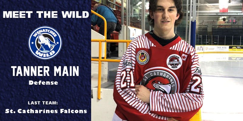 WHLwild_'s tweet photo. "MEET THE WILD" introduces incoming Wild defenseman Tanner Main. 

READ --> https://t.co/KrUV0uAbjt https://t.co/pLLsItjOSN