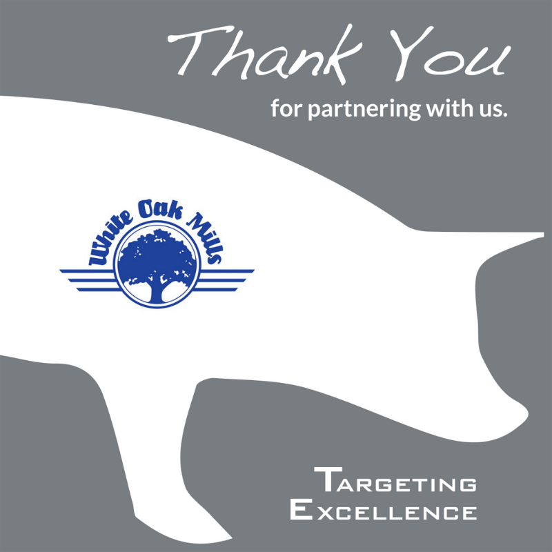 TargetingExcel's tweet image. Thank you White Oak Mills, Inc. for being a Silver 2019 Targeting Excellence scholarship sponsor!

If you would like to learn more or become a sponsor, please visit our website targetingexcellence.org/sponsorship-op…

#scholarships #sponsorshipopportunity #agriculture