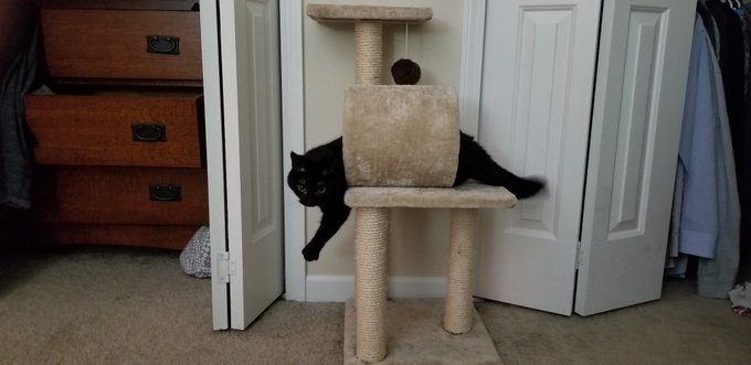 She'll literally just chill like this. Such a cute weirdl https://t.co/7TdAXjWEx4<a href="/tag/gayfuckingandplayingleagueoflegends"class="tags"><span>#gayfuckingandplayingleagueoflegends</span></a><a href="/tag/getcarr"class="tags"><span>#getcarr</span></a>