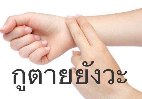 เชน : rest tweet media