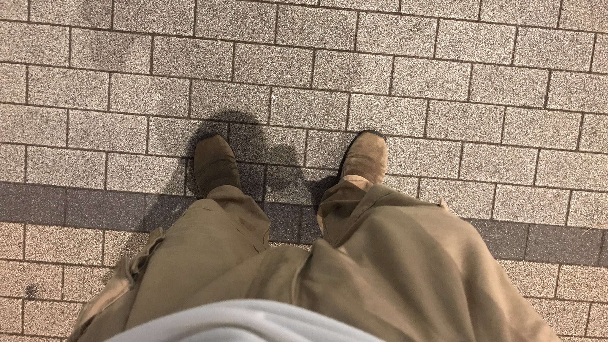 Nhg 中の人げぇみんぐ なぜ中の人aはいつもメレルとかそういう靴を履いてるのかという話だが それは新宿で飲んでて取り残された時に 横浜の家まで歩いて帰れるようにだ