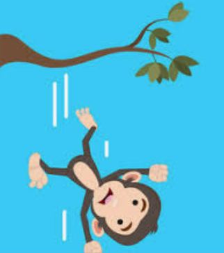 positive_focus's tweet photo. National Tell a Joke Day is today.  My favorite joke (because it is so easy to remember- which is important when working memory is a weaker executive functioning skill!):
Why did the monkey fall out of the tree?
Because it was dead. https://t.co/aqHNdNIkS9