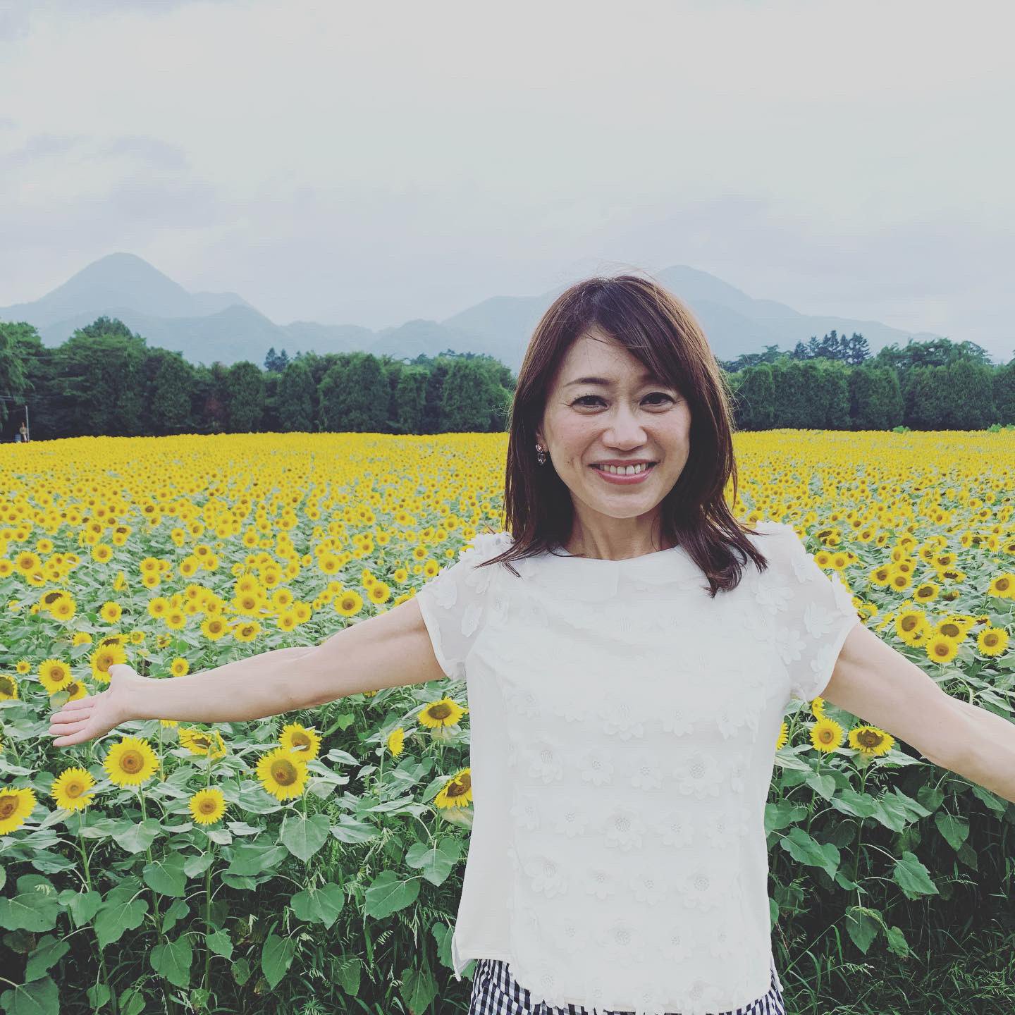 大隅智子 矢巾町のひまわり畑からリポートをしました まさに今が見頃 約40万本のひまわりは圧巻でした 見晴台もあり 上から見渡せすよ インスタ映えでも人気だそう T Co M06noq4ltl Twitter