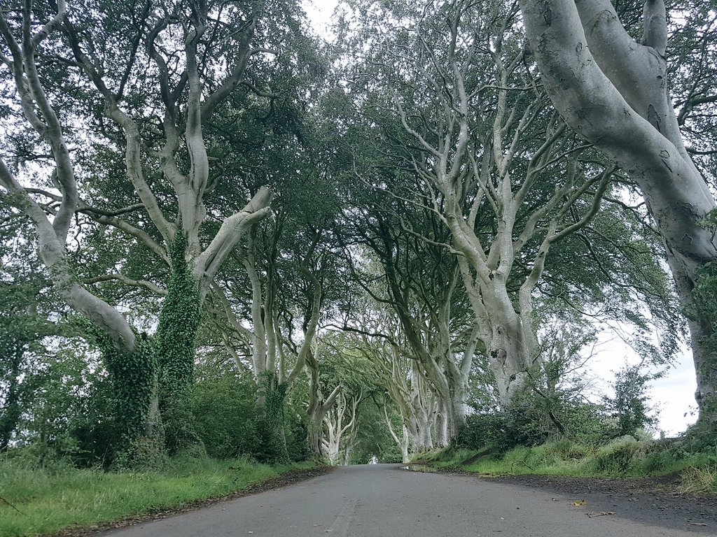 Sulle orme del Trono di Spade! Fate ispirare i vostri viaggi da film o libri, ne resterete affascinati! @momondo #OWTravelers #Admomondo 

momondo.it/in?a=ambassado…