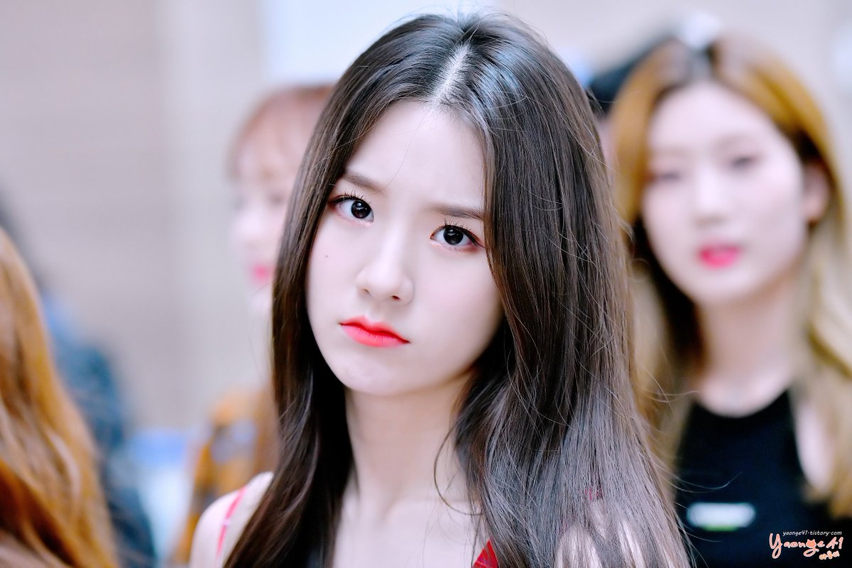 야옹이41 tweet media