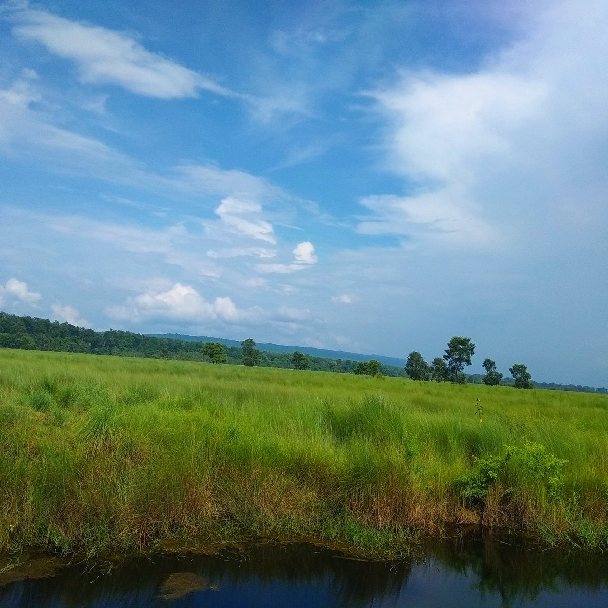 poudel_asmita7's tweet photo. Nature is calling you... #tringtring
#Chitwannationalpark
#VisitNepal2020
#nature https://t.co/Ss3VIdXOg3