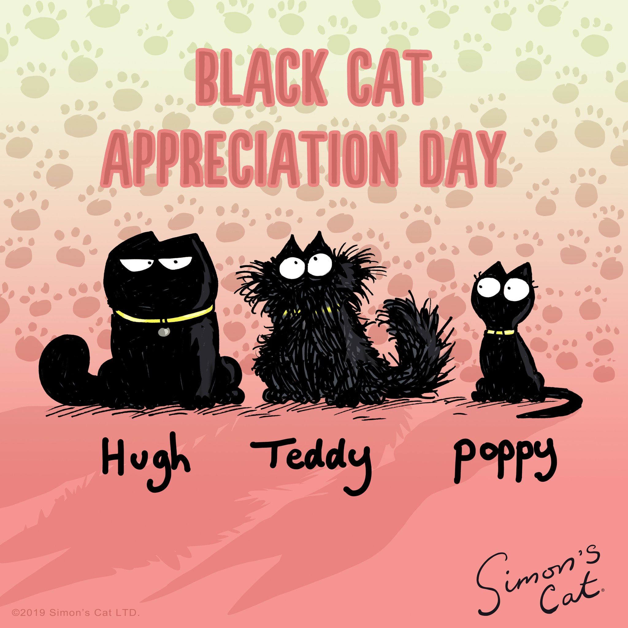 simon's cat teddy