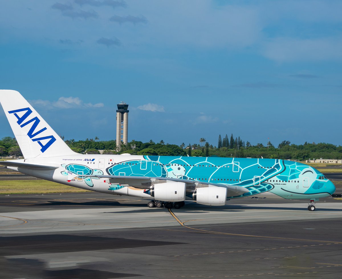 fosin2's tweet image. One of the ANA super turtles that flies between tokyo and honolulu. A.k.a Kai. #AvGeek #airlinegeeks #A380 #allnipponairways #HNL #NRT #LetHawaiiHappen #travel #airport #aviationlovers #planespotting #planespotter  #aviationphotography #aviationgeek #HonoluluAirport #iflya380