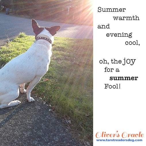 TarotReadersDog's tweet photo. Are you getting to be a Summer Fool? In a good way? Like running through sprinklers way? Hope so! #summer #summerday #summertime #dogsofinstagram #happy #eve #cool https://t.co/XqRGvkZ3qO https://t.co/1p6mFNMyr4