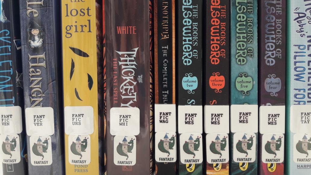 MsSzeryk's tweet photo. Check out our new genre stickers! Kids are going to love them! #library #genrification #cisinspires https://t.co/Q71fmKtt2S