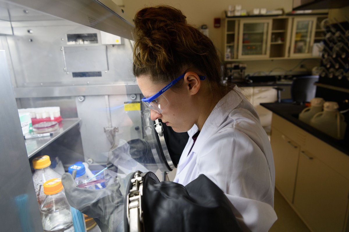 UConnResearch's tweet photo. Research. Innovation. Entrepreneurship. 

Take a look inside the @UConn Technology Incubation Program

https://t.co/QCvTPF8jyf https://t.co/vs4xsrf1T9