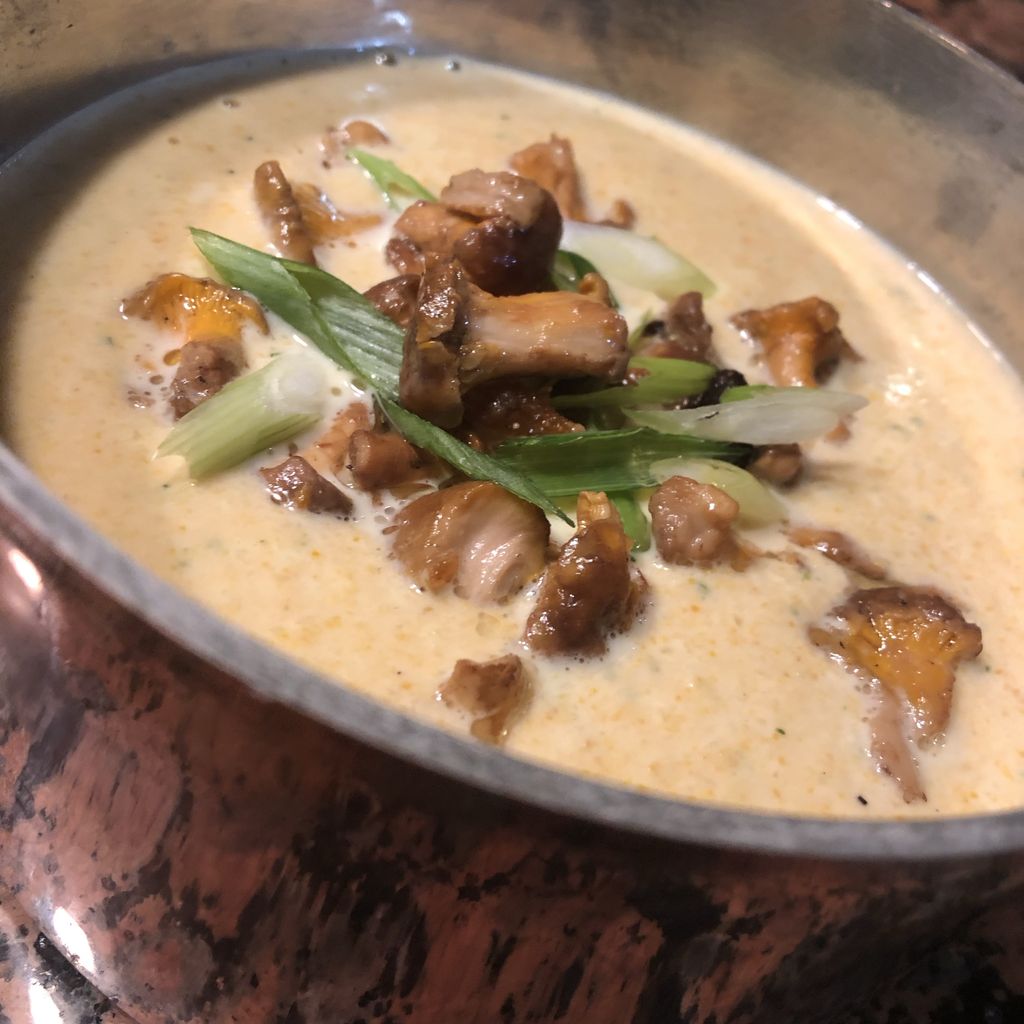 Cream of chanterelle mushroom soup

Garnishes with green onion and lightly fried chanterelle

#creamofmushroom #creamofmushroomsoup #soup #mushroomsoup #chanterelle #creamofchanterelle #chanterelles #wildmushrooms #copperpot #coppercooking #coppercookware #foragedfood #foraging