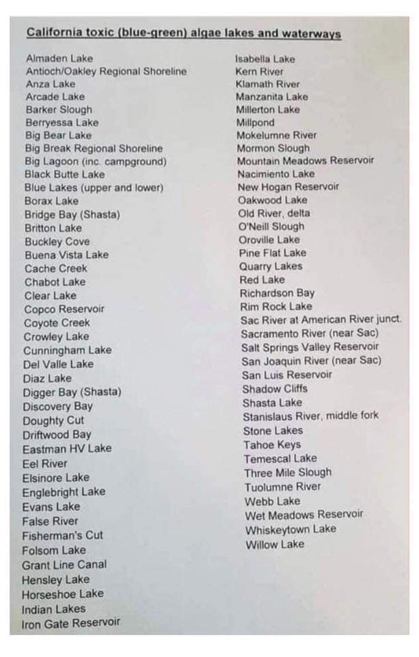 Jr3597's tweet photo. ⚠🐶 #California water sources with deadly toxic blue-algae ⚠
🐩 #Dogs have died quickly from contact on the shore to
water 🐕
Please RT!! #Pets #Animals #DogsOfTwittter #DisasterAssistTeam https://t.co/hfeIjGe8S9