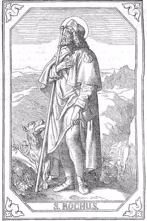 DouayRheims1's tweet photo. #StRoche of France, a 14th century hermit, undertook a pilgrimage to Rome,where he cared for plague victims. On his way home - very weak through having contracted the disease - a faithful dog provided him with regular food,and he was miraculously healed by an angel of God. #Aug16 https://t.co/5Mt7QjYfXL