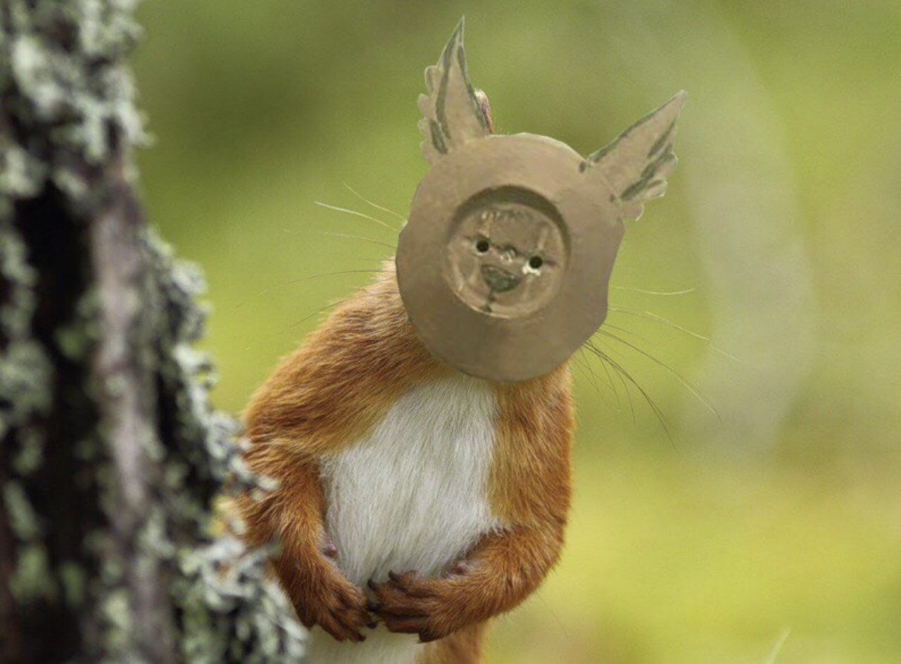 ECGjvqiWwAYtBrB?format=jpg&name=large