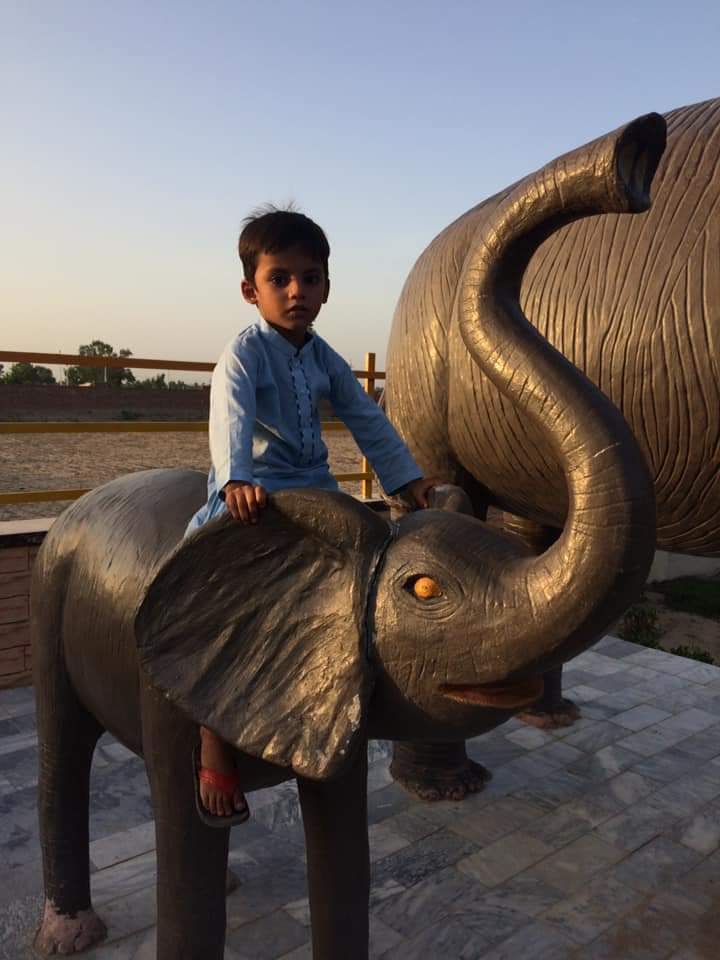 mujahidsher059's tweet photo. https://t.co/MaW3TcKJTr
