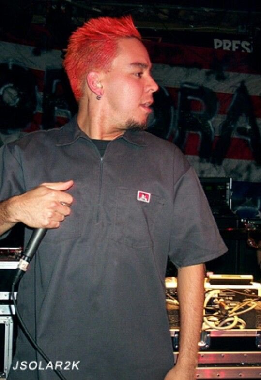 Red Hair aka “My Rebel Red”. A classic recipe is used - a combination of cheap drugstore hair gel spiked with hair dye. Probably had Joe Hahn as a barber. Very aggressive, could be a thing. Most likely about to break.