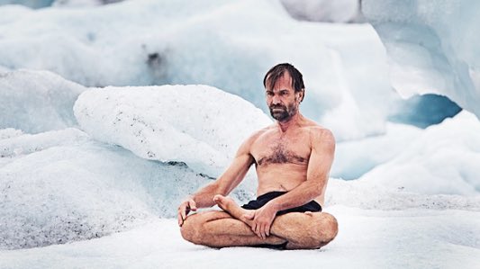  @Iceman_Hof, is another fascinating example of these methods at work. He’s been studied by scientists and universities to better understand his seemingly superhuman feats.